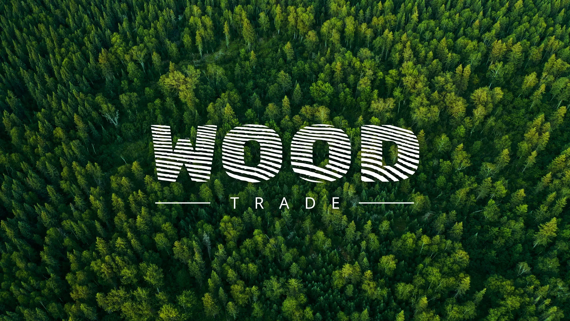 Разработка интернет-магазина компании «Wood Trade» в Москве