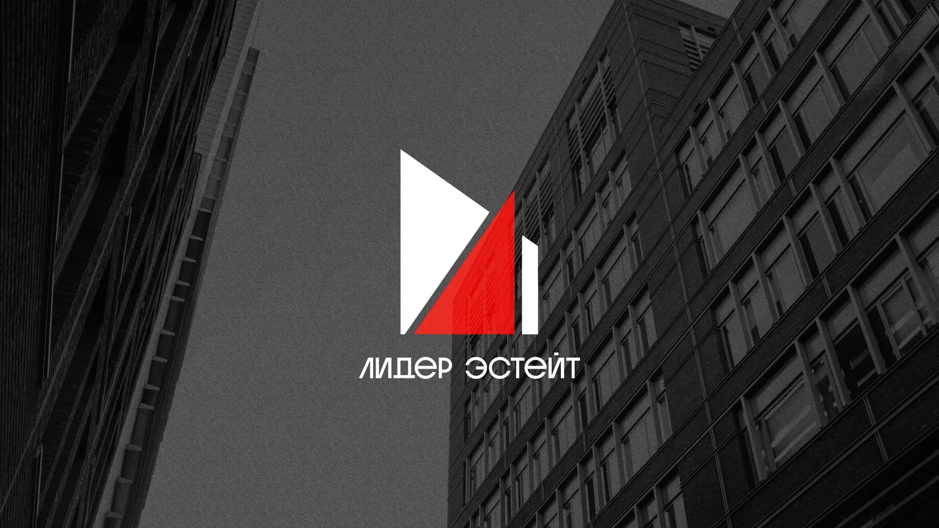 Сделали логотип для агентства недвижимости «Лидер Эстейт» в Москве